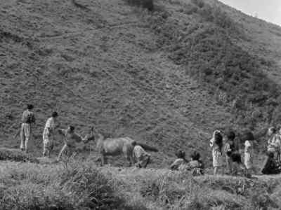 A nag like that
can't carry your weight! - Seven Samurai