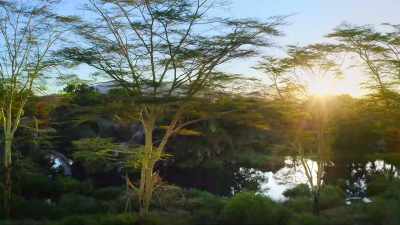A name that means "alive" in Swahili. - Our Great National Parks