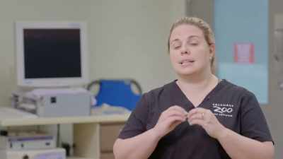 A nebulizer is just a machine - Secrets of the Zoo