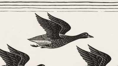 A new factor
has been added to this, - M. C. Escher: Journey to Infinity