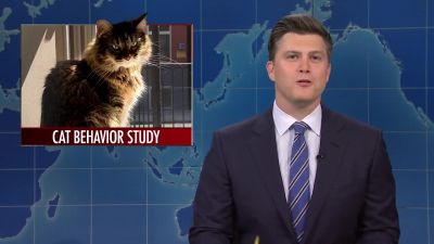 A new study finds that if cats
were humans, - Saturday Night Live