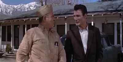 A nice little dog you
got there, Mr Collins. - I Died a Thousand Times