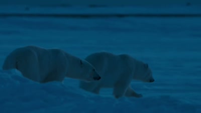 A night that will last
another 45 days. - A Year on Planet Earth