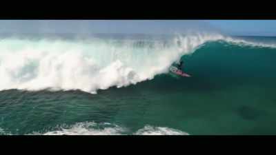 A paradise where sharks - Envoy: Shark Cull