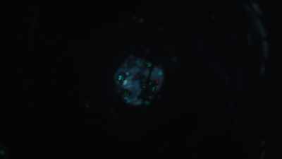 A particle from its
nucleus breaks away, - Cosmos: Possible Worlds