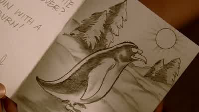 A penguin with a sunburn? - Lost