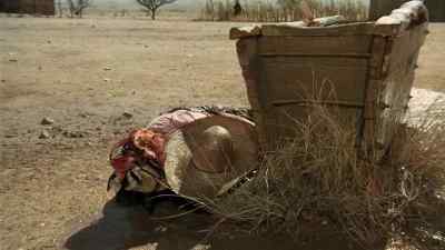 A pig! - The Life and Times of Judge Roy Bean