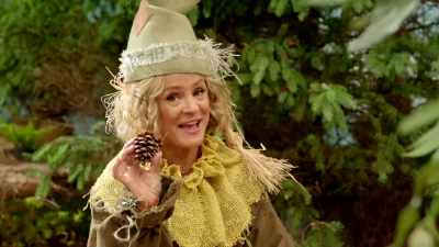 A pine cone, which I have here,
makes a perfect backscratcher. - At Home with Amy Sedaris