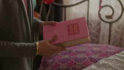 A pink, fuzzy Bible. - The Pradeeps of Pittsburgh