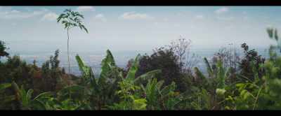 A practice called agroforestry
does this - 2040