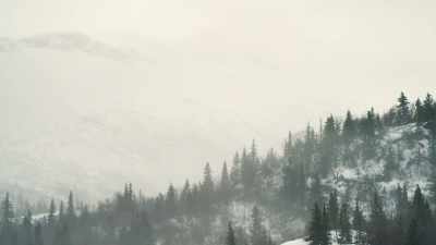 A pretty tough winter. - Life Below Zero: First Alaskans