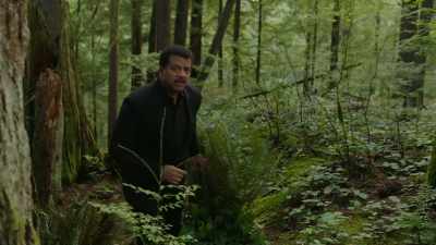 A radical pattern emerged,
one that would shake the world. - Cosmos: Possible Worlds