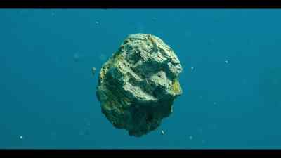 A raft of floating stones. - Our Oceans