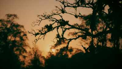a-rancher-who-had-three-encounters-with-the-beast - Expedition Mungo