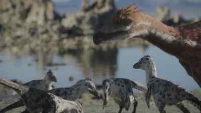 A rather more substantial meal for the family, - Prehistoric Planet