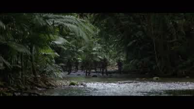 A reinforce battalion. - The Thin Red Line