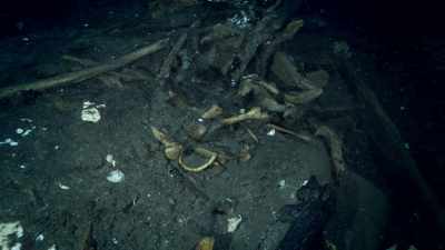 A sacrificial offering, - Lost Treasures of the Maya