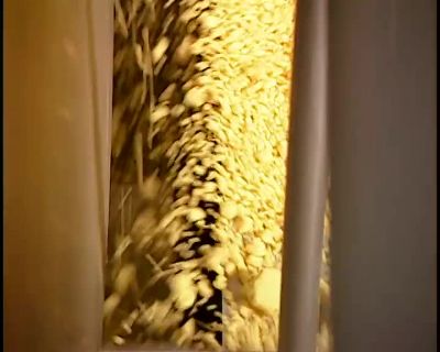 A SCREEN INSIDE THE DRUM
SIFTS OUT THE BIG CLUMPS. - How It's Made