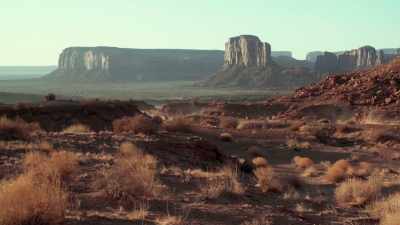 A search for origin,
400 years after the voyage - Exterminate All the Brutes