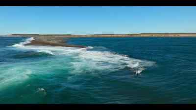A set of skills so complex - Our Oceans