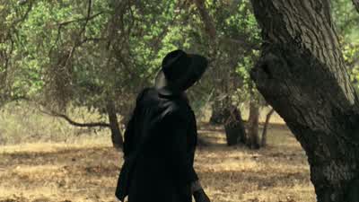 A shame, really. - Westworld