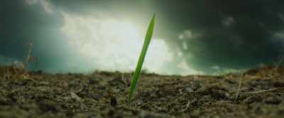A single blade of grass
cannot feed Wa Chini's family… - Our Universe