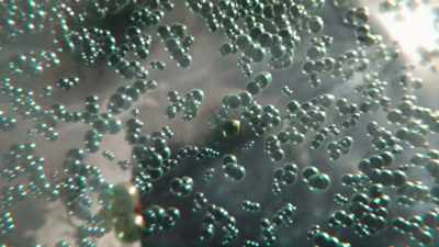 A single chlorine
atom can destroy
100,000 ozone molecules. - Cosmos: Possible Worlds
