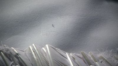 A small repair. - Dexter