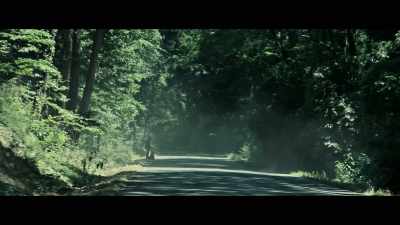 A small stone
will strike your windshield. - All the Money in the World