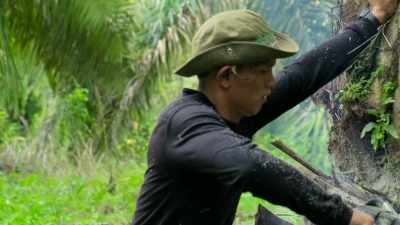 A small subsidy and a chance - Our Great National Parks