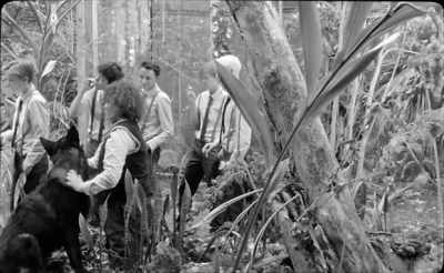 A special diet, no animal flesh. - The Wild Boys