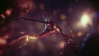 A species with a brain as
complex as yours and mine. - One Strange Rock