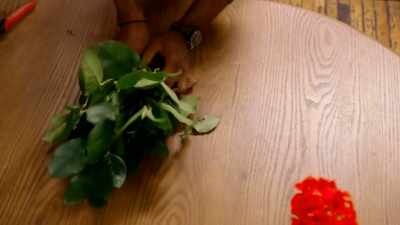 A story about who you are, - When Love Blooms