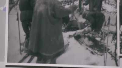 A strip of dark material
found at the cedar tree - An Unknown Compelling Force