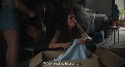 A Sylphid is like a tall, - 20,000 Species of Bees