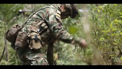A team first clears the area to guarantee - The Business of Drugs