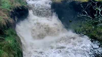 A terrific deluge is now
cascading downstream, - Our Yorkshire Farm
