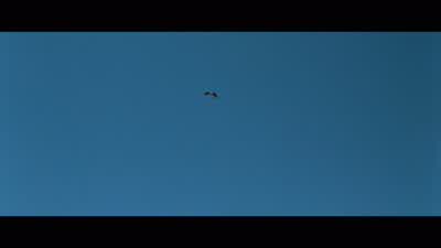 A thousand feet, pull. - Point Break