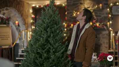 "A thousand odours fill the air,
and with them, - My Grown-Up Christmas List