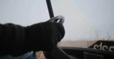 A three-and-a-half or four-year-old buck, - Stars in the Sky: A Hunting Story