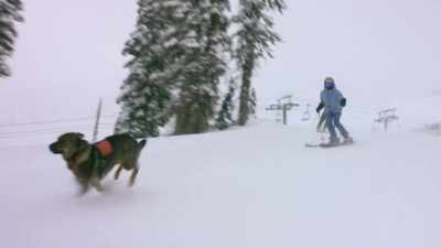 ♪ A time to shine
Put off the light ♪ - Love in Glacier National: A National Park Romance