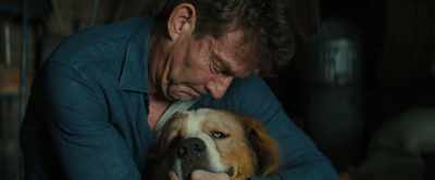 A tiny sting,
and then my pain melted away. - A Dog's Journey