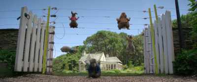 â™ª I've been up, I've been
down, I've always got - Peter Rabbit