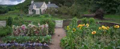 â™ª With every step we take - Peter Rabbit