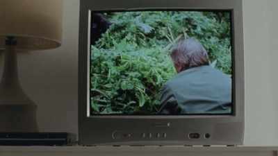 A TV show, - The Story of Film: A New Generation