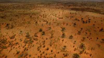 A very different land, - Modern Dinosaurs