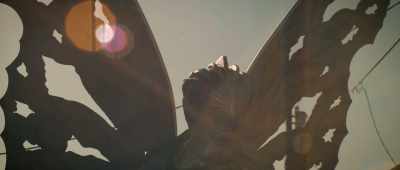 A very important thing about
Keel, - The Mothman Legacy