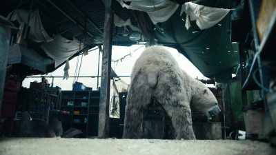 A very serious mental ailment, - His Dark Materials
