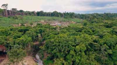 A VICTORY FOR PACA ALVES
AND HIS MEN. - Lost Cities of the Amazon