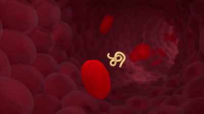 A virus doesn't just want to
colonize that single host. - Human: The World Within